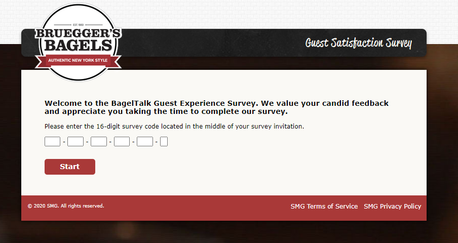 Bruegger's Survey