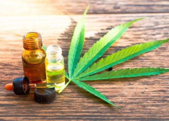 How to Integrate CBD into Your Wellness Routine