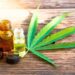 How to Integrate CBD into Your Wellness Routine