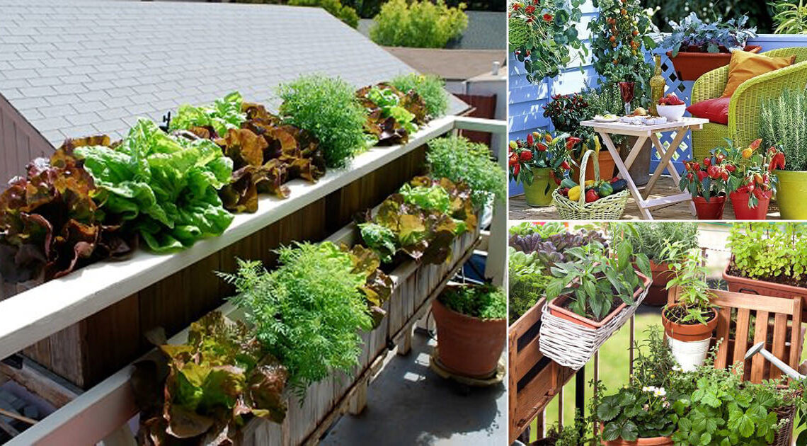 6 Railing Planters You Should Get for Your Limited Space