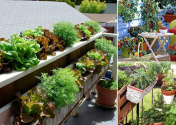 6 Railing Planters You Should Get for Your Limited Space