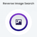 Find Your Images Online Using Reverse Search image