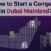 The Dubai Business Law and Regulations on Company Formation