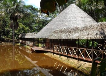 Ayahuasca Retreat in Iquitos, Peru