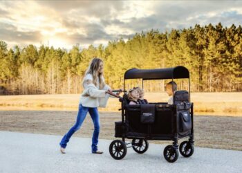 Wonderfold Stroller Wagon