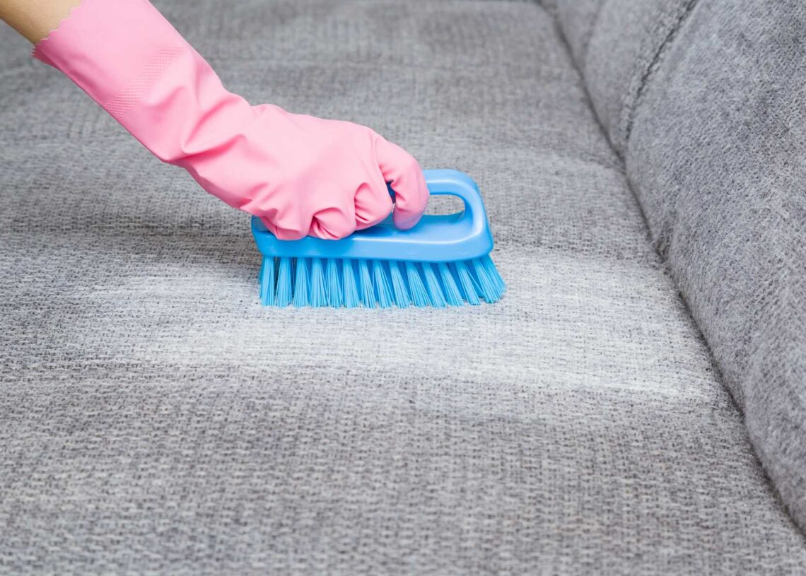 How to Clean Sofa at Home? Green Record