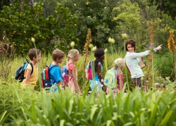 Young teacher with children on nature field trip