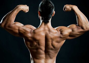 How to use Anabolic steroids properly