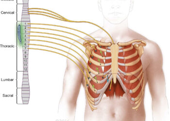 Livingston Spinal cord stimulation