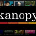 kanopy.com/link roku