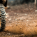 Basic Off-Road Driving Rules