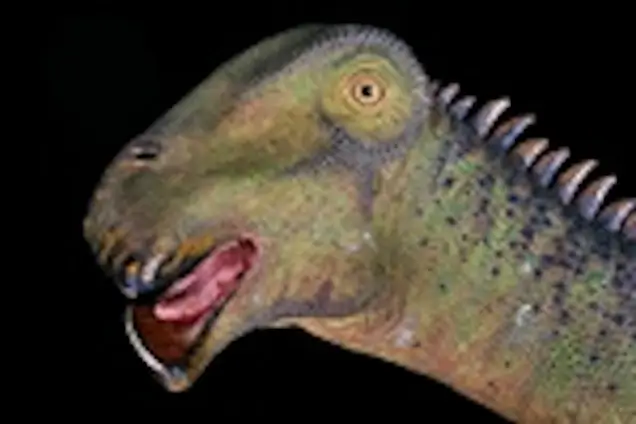 Nigersaurus