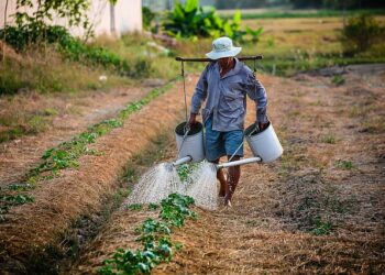 Tools and Equipment Used in Farming: