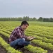 Tips to Help You Choose the Right Agronomy Services for Your Business