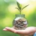 Eco-Friendly Ways To Manage Your Finances