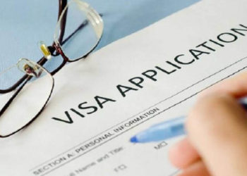 How to Go for Professional Visa Guidance & Application