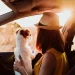 Traveling with Your Pet