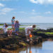 Your Compact Guide to Rock Pooling in Devon