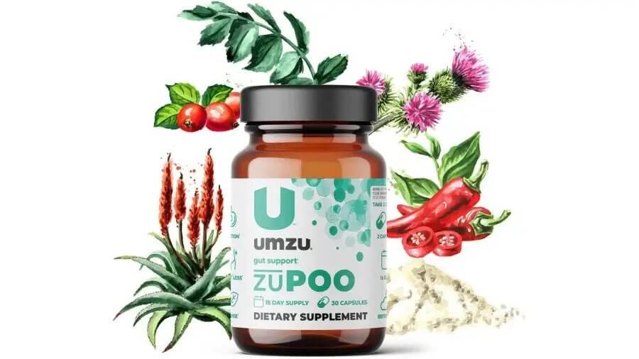 ZuPOO Review