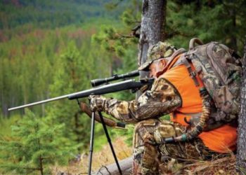 Choosing ammunition for your hunting tour