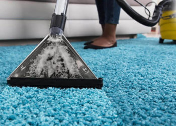 Carpet Cleaner