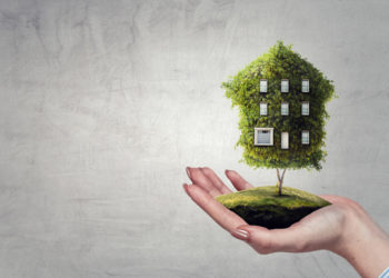 How to make your home sustainable