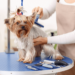 Dog Grooming Business