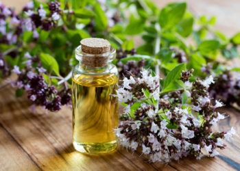 wellhealthorganic.com:health-benefits-and-side-effects-of-oil-of-oregano