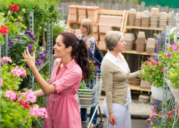 Garden Centre Business