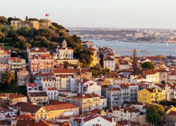 Why Firms Like Portugal