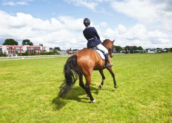 Why Women's Jodhpurs are Must-Haves for Horse Riding