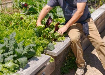 Best Way to Remove Garden Waste