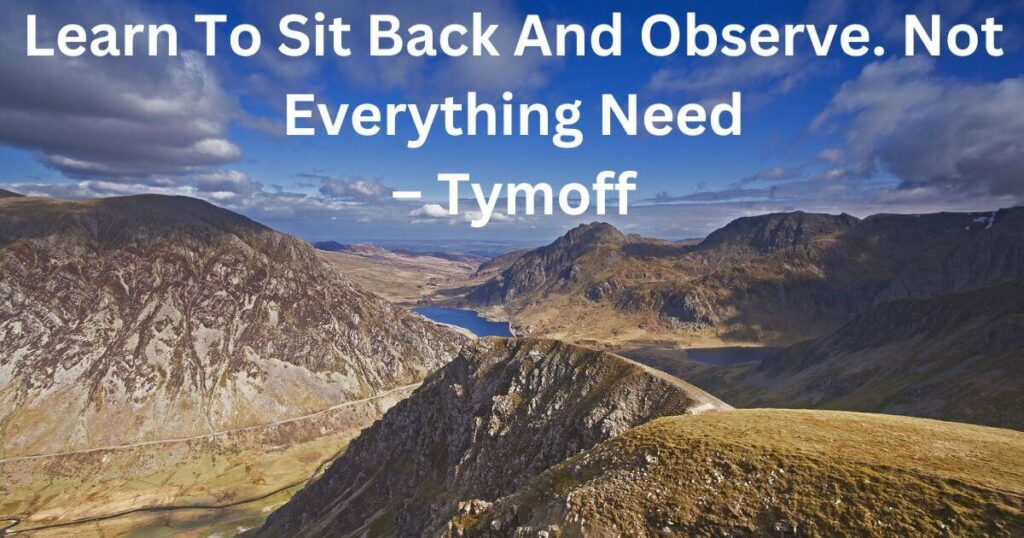 Learn to Sit Back and Observe. Not Everything Need - Tymoff