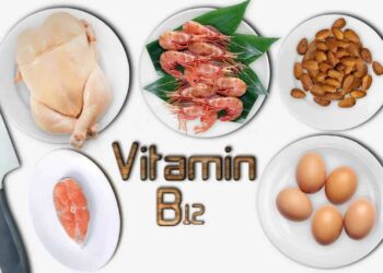 Wellhealthorganic Vitamin B12