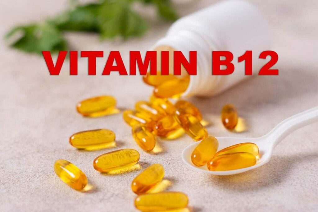 Wellhealthorganic Vitamin B12