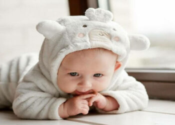 Thesparkshop.in Product Bear Design Long Sleeve Baby Jumpsuit