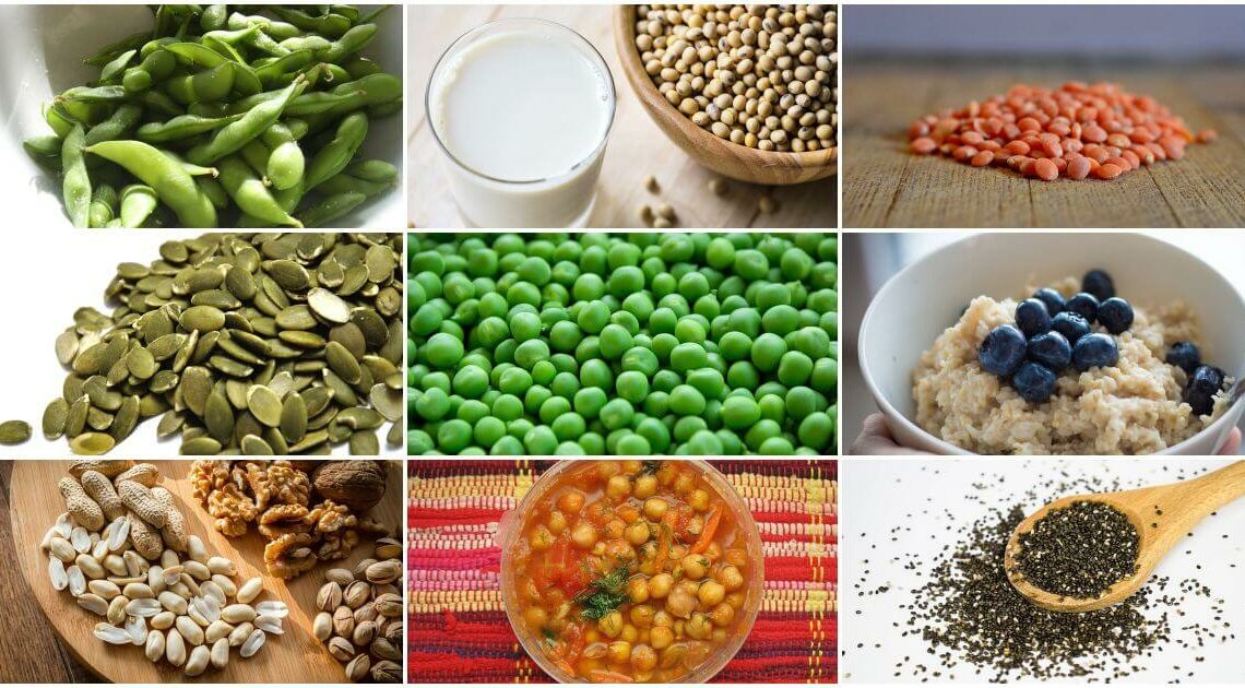 vegetarian Protein Sources