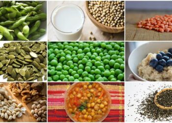 vegetarian Protein Sources