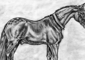 Drawing:v74uyhgg9tq= horse