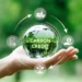 Carbon Credit Investments
