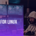 VPN for Linux: A Developer’s Guide to Privacy & Performance
