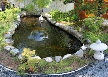 1O Pro Tips to Safeguard Your Ponds and Water Resources