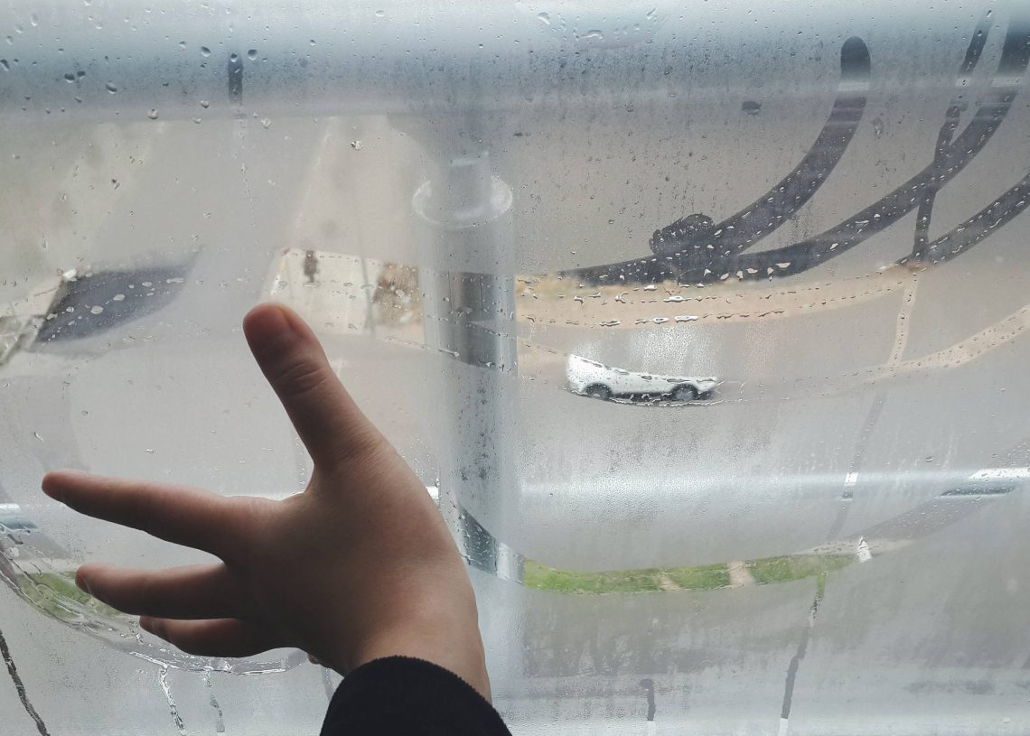 Natural Ways to Reduce Indoor Humidity and Prevent Mold