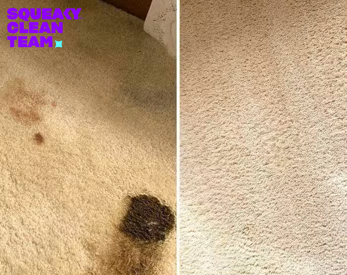 The Science of Drying Wet Carpets