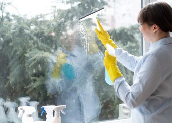 The Comprehensive Guide to Window Cleaning: Techniques, Tools, and Tips