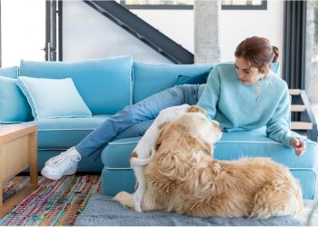 Cozy & Chic: The Ultimate Guide to Durable, Washable Slipcovers for Your Pet-Friendly Sectional