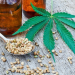 What Cannabis Is and How It May Help