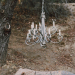 The Prestige and Performance of a Boar Bristle Brush