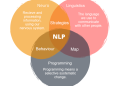 What Can You Learn from NLP Courses?