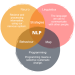 What Can You Learn from NLP Courses?